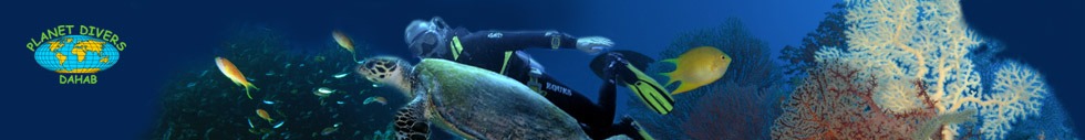 Logo Planet Divers Rafy koralowe w Dahabie