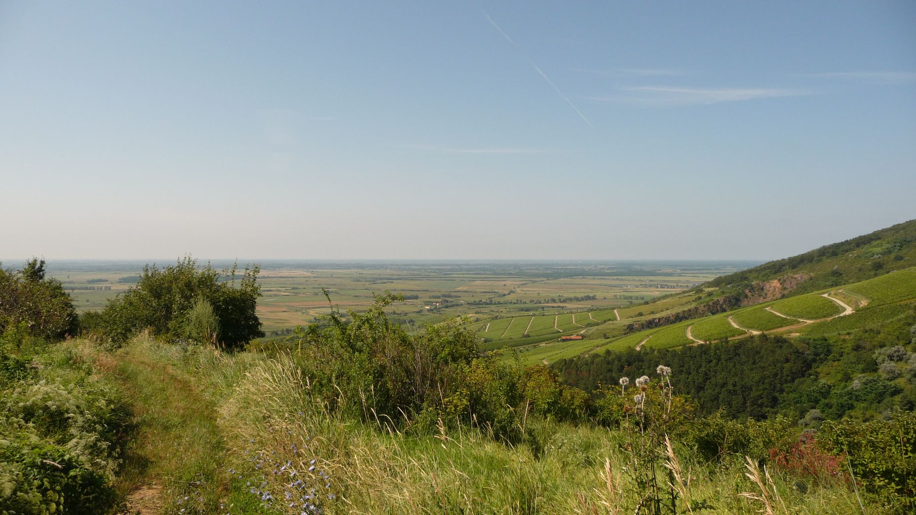 P1020782