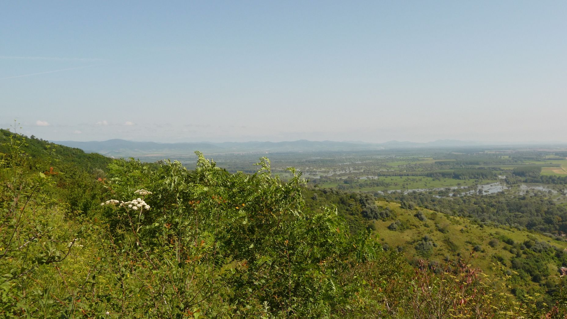 P1020791