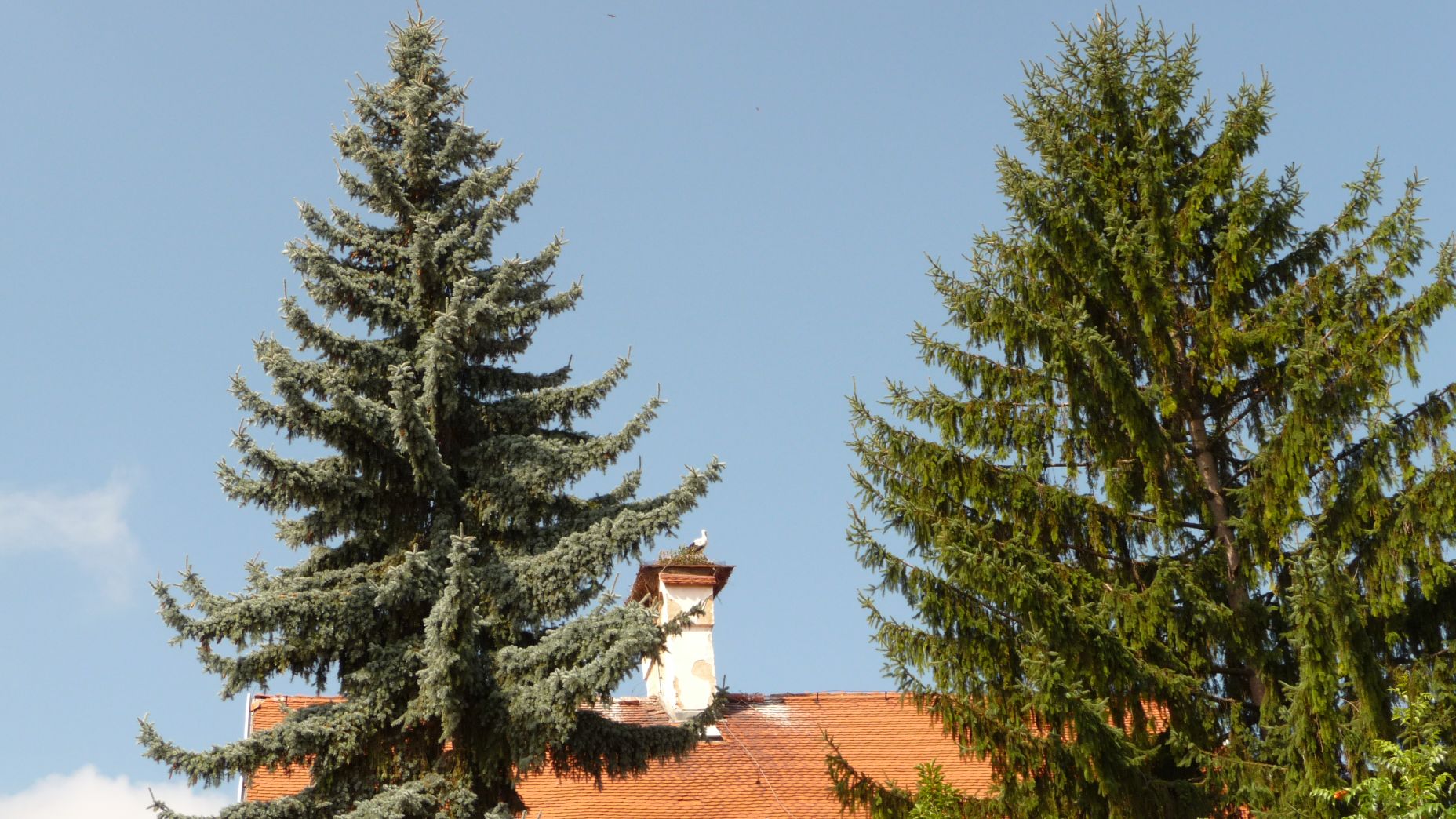 P1020800