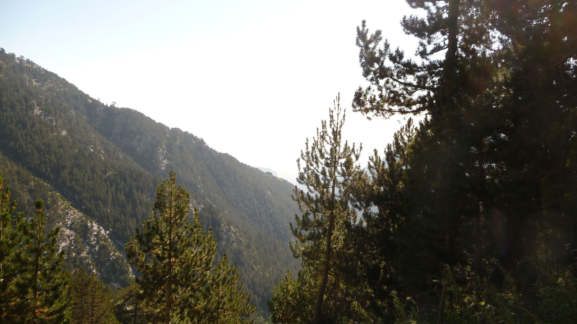 P1040357