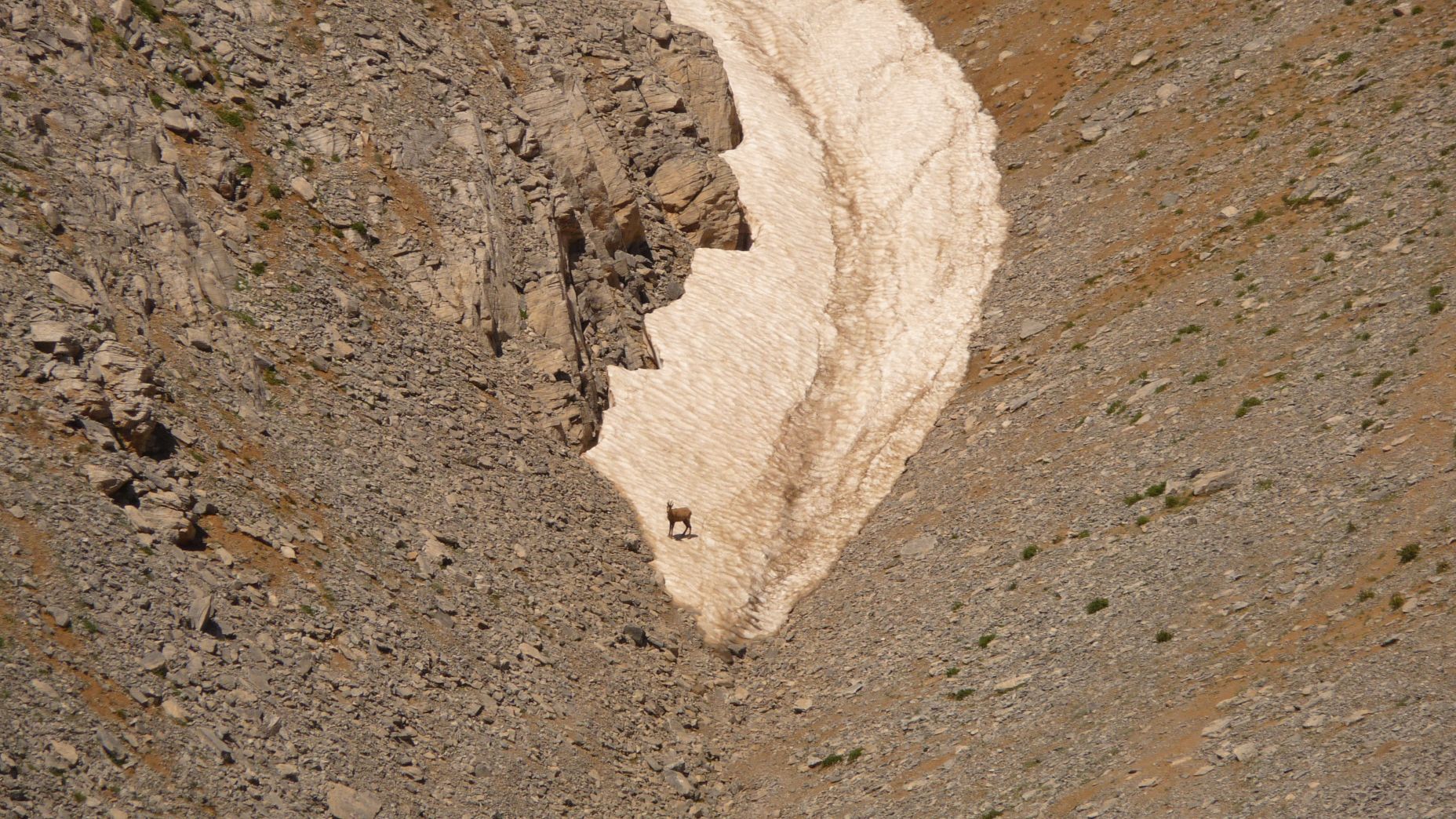 P1040392
