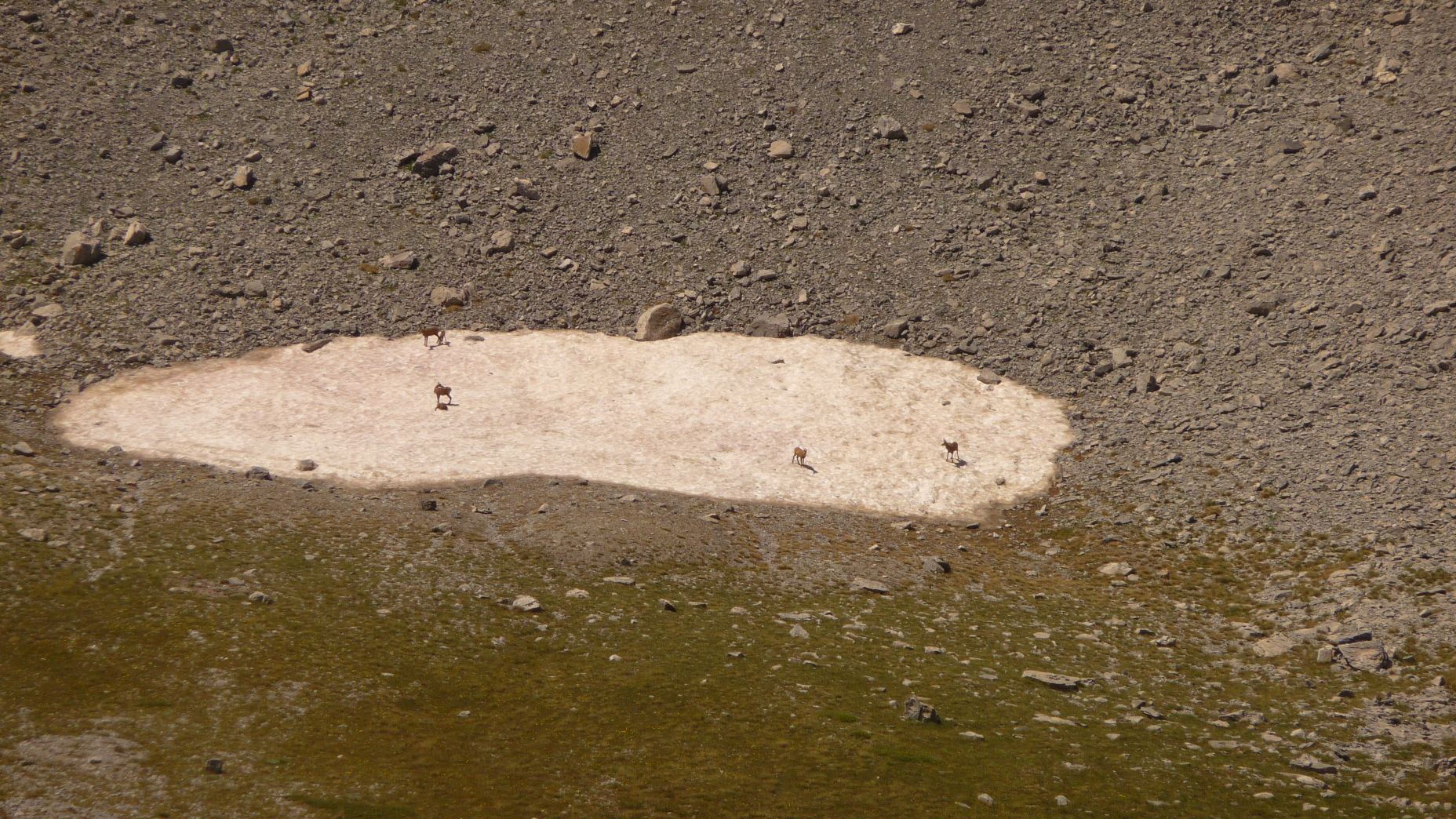 P1040393