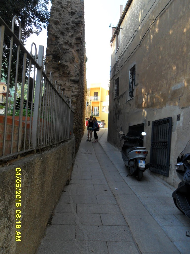 SAM_1883 - Kopia