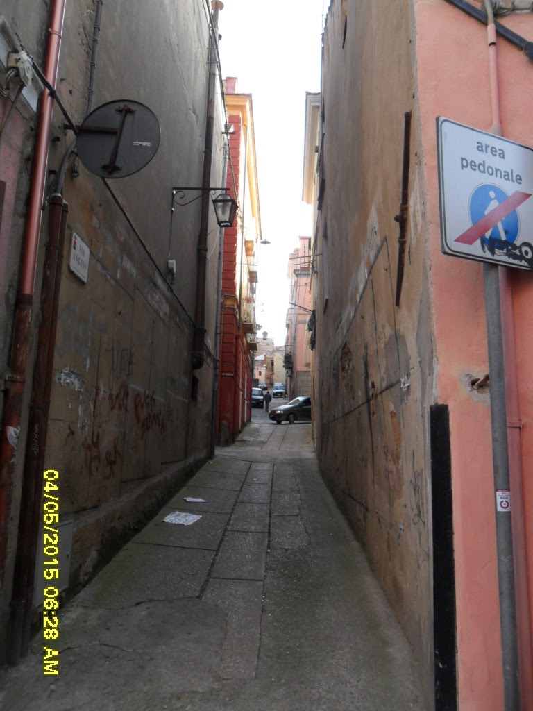 SAM_1903