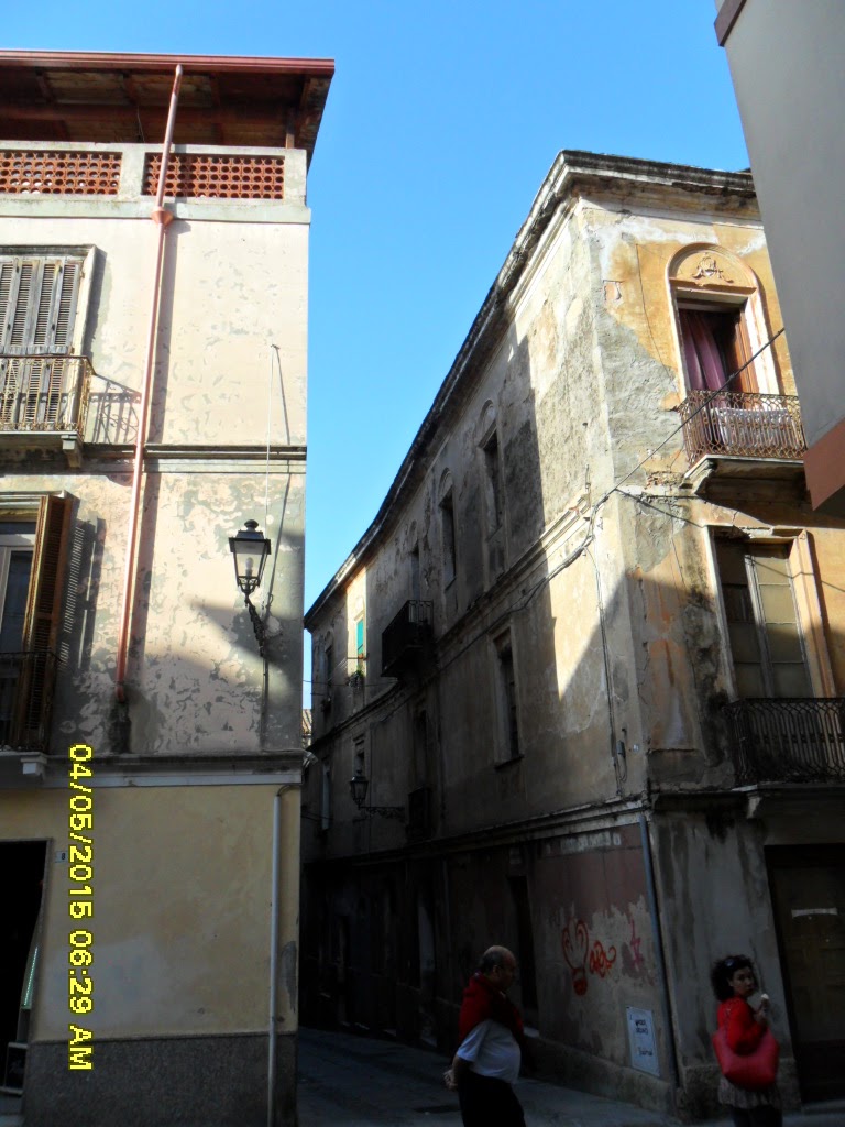 SAM_1904