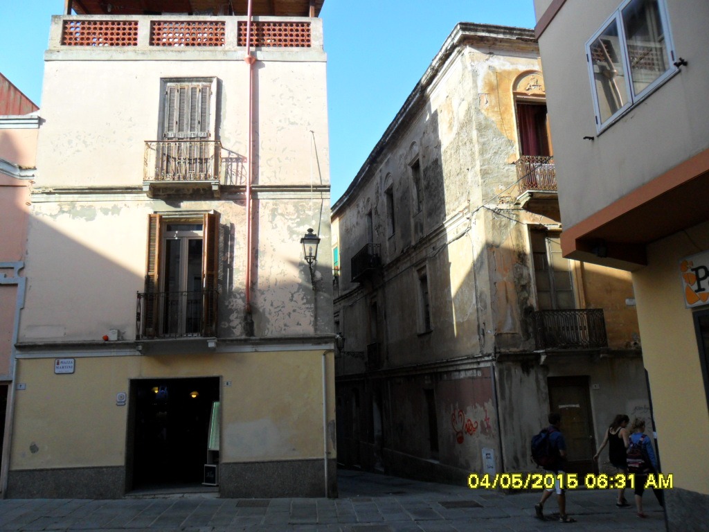 SAM_1905