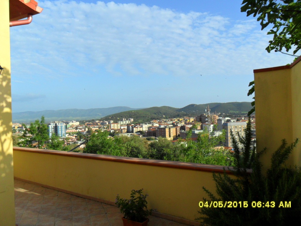 SAM_1914