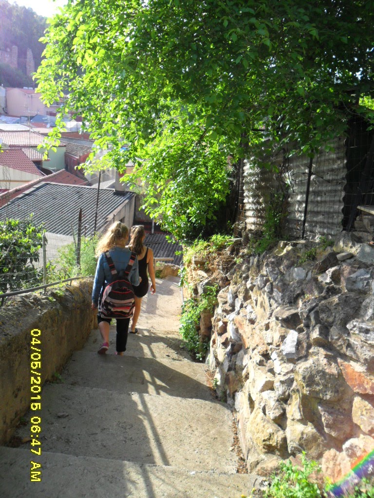 SAM_1921