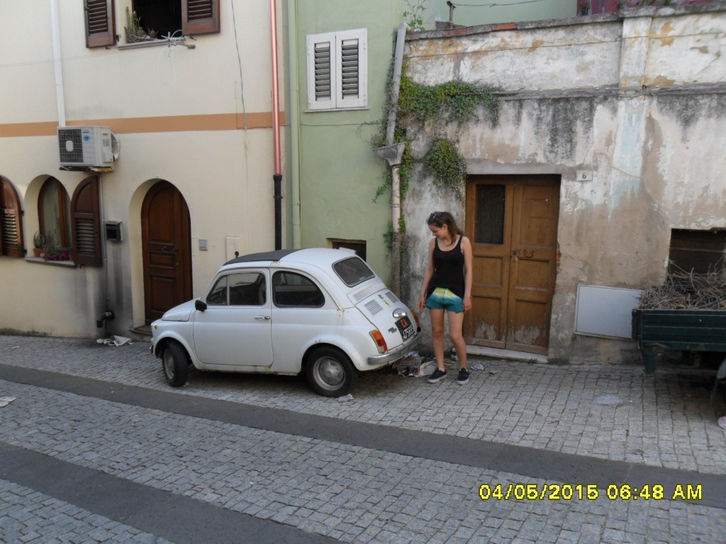 SAM_1923