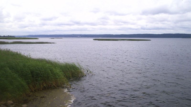 Jezioro Żarnowieckie Żarnowiec - Gdzie na windsurfing w Polsce