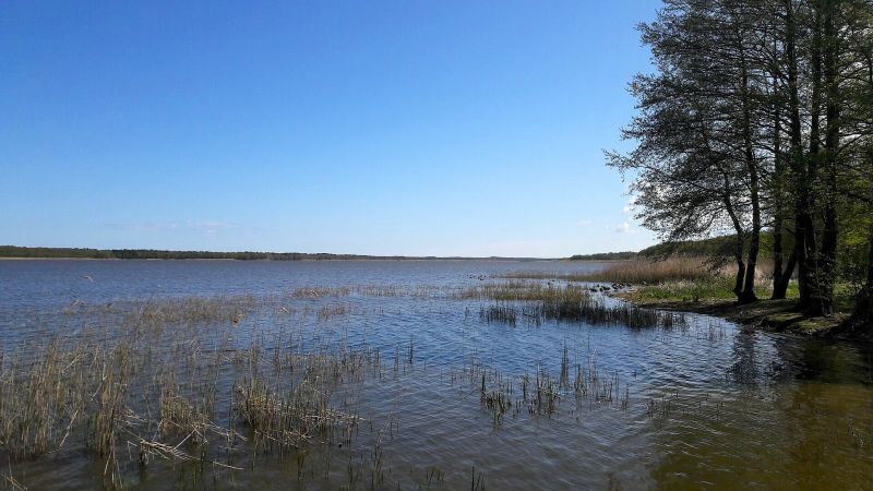 Sarbsko - Gdzie na windsurfing w Polsce