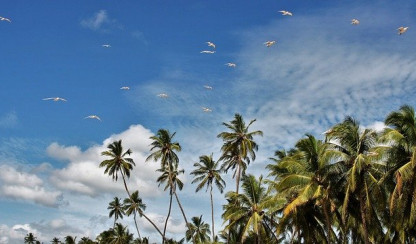 Sri Lanka