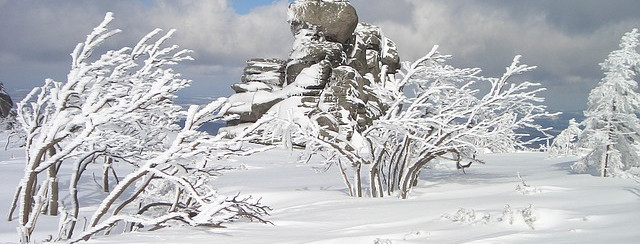 wyjazdy narciarskie