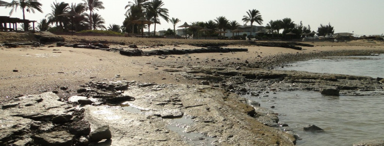RAS SUDR