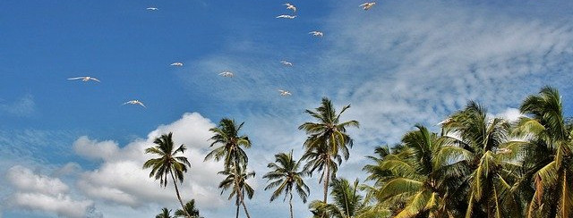 Sri Lanka
