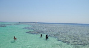plaża
