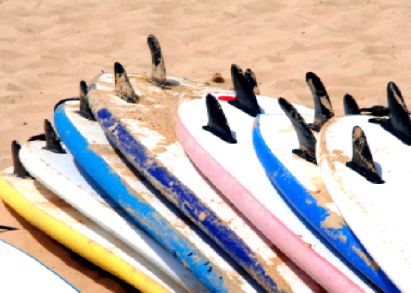 Surfing - jaki sprzęt wybrać, jaki sprzęt kupić - porady dla początkujących